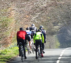 Cyclists out on the road